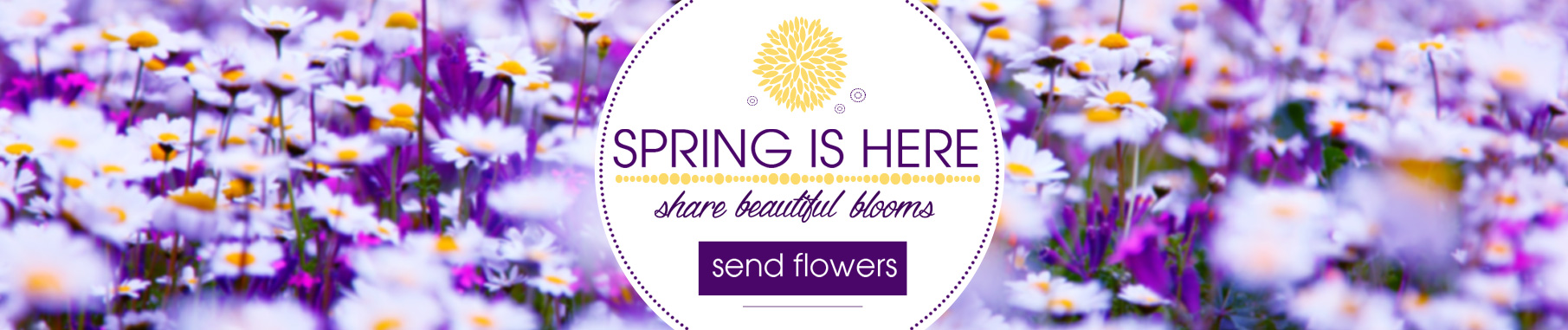 Spring Flowers