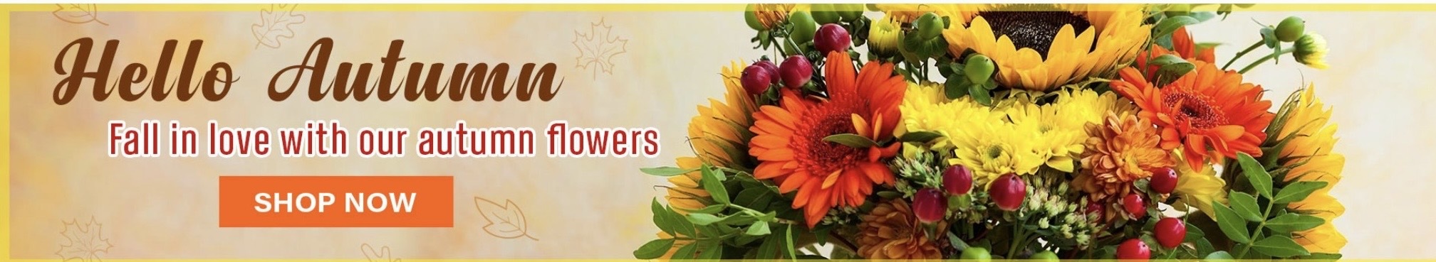 Fall Flowers